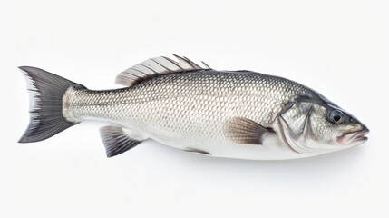 Obraz premium A detailed view of a fish placed on a white surface. Can be used to depict marine life, seafood, or cooking themes