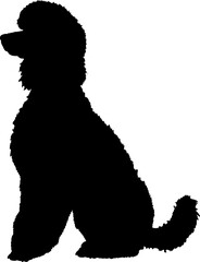 Poodle is sitting High quality Dog silhouette Breeds Bundle Dogs on the move. Dogs in different poses.
The dog jumps, the dog runs. The dog is sitting. The dog is lying down. The dog is playing