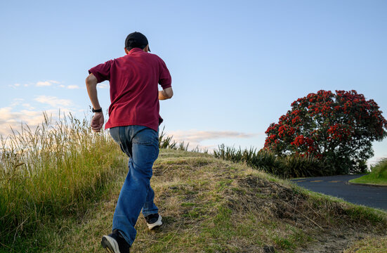 Man running uphills. Pohutukawa trees in full bloom. Auckland.