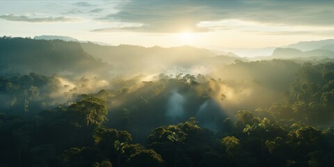 Fototapeta na wymiar Aerial view of a misty rainforest at sunrise with rays of light piercing through.