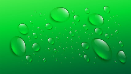 Fresh green wallpaper of shiny transparent water droplets