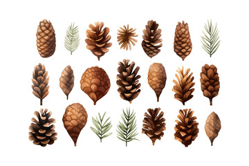 Set of pine cones. Vector illustration design. - obrazy, fototapety, plakaty