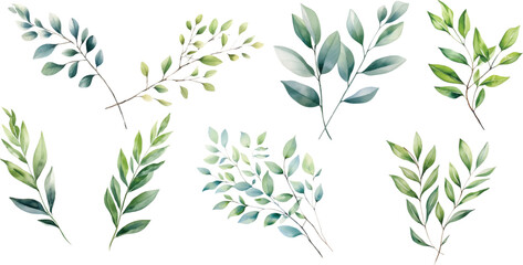 Watercolor leaf stems on a white background