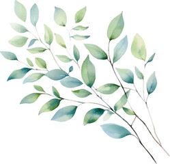 Watercolor leaf stems on a white background