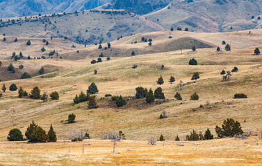 Fototapeta premium Oregon High Desert in the Cascade Range and south of the Blue Mountains, Oregon