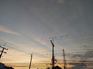 site with cranes
