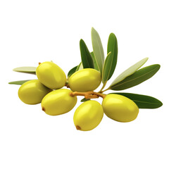 Jojoba oil isolated on transparent background