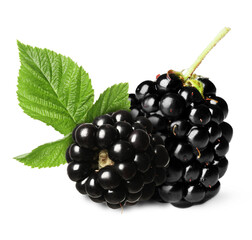Tasty ripe blackberries and green leaves isolated on white