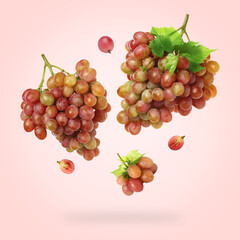 Obraz premium Fresh grapes and leaves in air on light red background