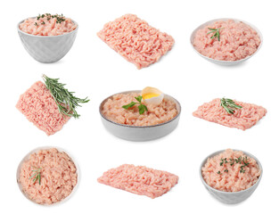 Fresh ground meat on white background, set