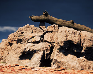 Fallen dead tree trunk on sandstone rock formation in sunlight under dark cloudy sky.