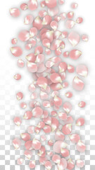 Pink Vector Realistic Petals Falling on Transparent Background.  Spring Romantic Flowers Illustration. Flying Petals. Sakura Spa Design. Blossom Confetti. Design Elements for Wedding Decoration.