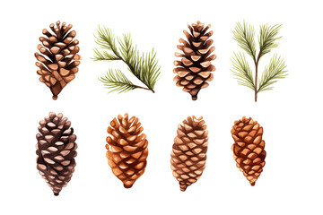 Set of pine cones. Vector illustration design.