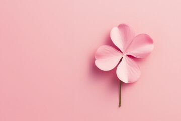 Pastel pink four leaf clover. Concept of luck, fortune, rarity, nature. - obrazy, fototapety, plakaty