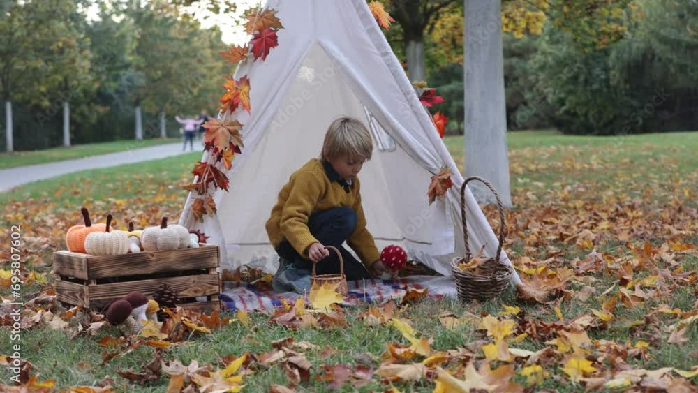 Poster Cute blond child, boy, playing with knitted toys in the park, autumntime, mushrooms, leaves, pumpkins