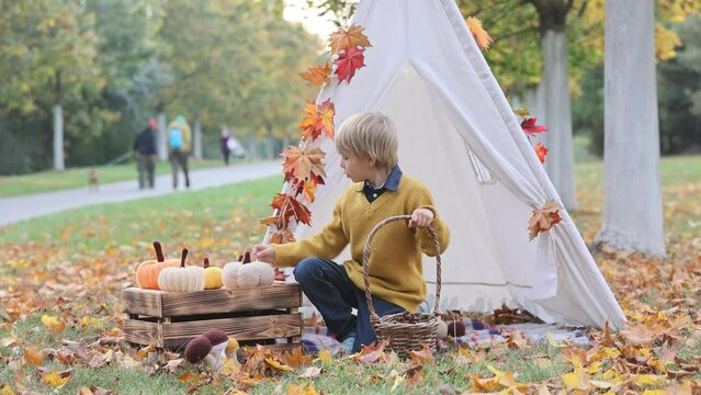 Cute blond child, boy, playing with knitted toys in the park, autumntime, mushrooms, leaves, pumpkins