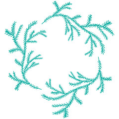 Wreath of spruce branches in hand drawn style on white background. Vector illustration