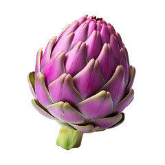 Fototapeta premium Purple artichoke isolated on transparent background
