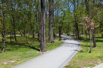 Fototapeta na wymiar Spring in Kedzierzyn-Kozle, Poland