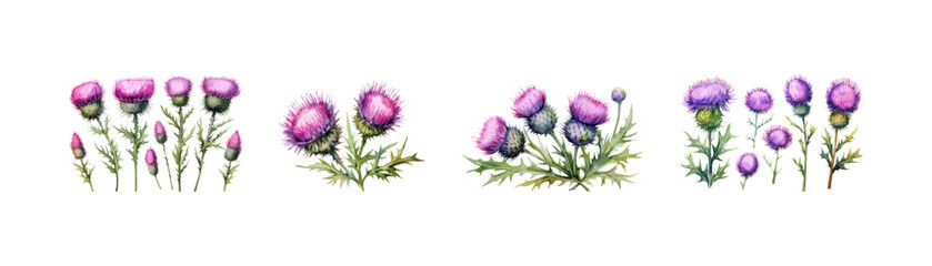 Watercolor thistle set. Vector illustration design - Powered by Adobe