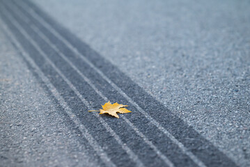 Yellow maple leaf on asphalt and the tire track after emergency braking, close up. Symbol of often car accidents in autumn, because of bad weather and visibility on roads
