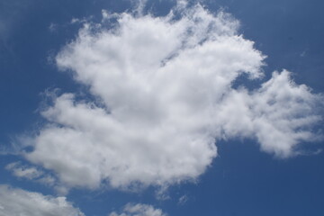 Enjoying the mother nature