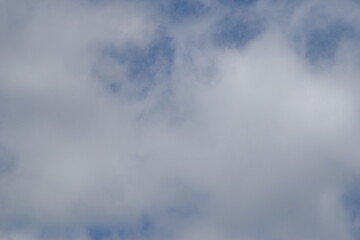 Enjoying the mother nature