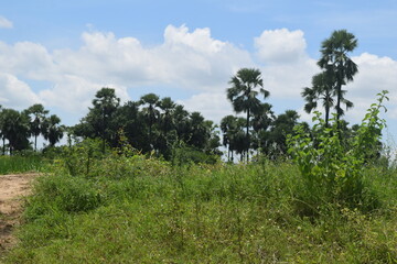 Enjoying the mother nature