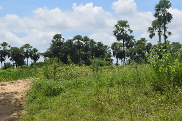 Enjoying the mother nature