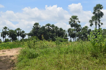 Enjoying the mother nature