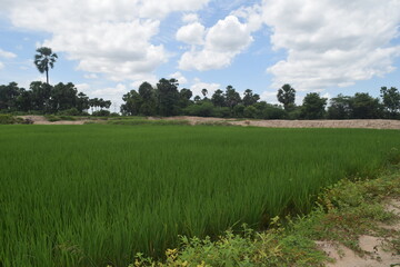 Enjoying the mother nature