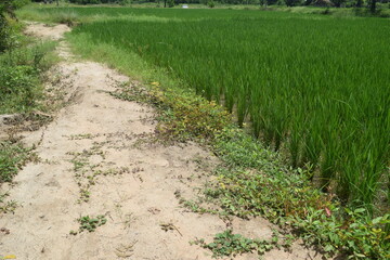 Enjoying the mother nature