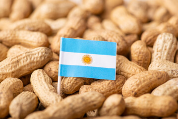 Flag of Argentina on peanut. Unpeeled peanuts with flag of Argentina, origin of nuts, agribusiness