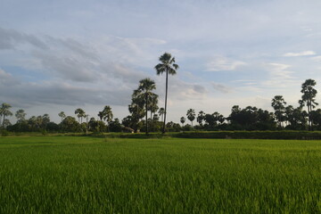 Enjoying the mother nature