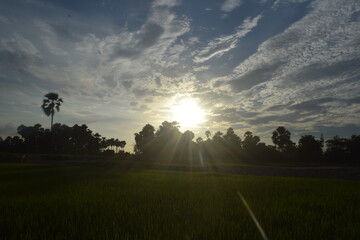 Enjoying the mother nature