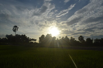 Enjoying the mother nature