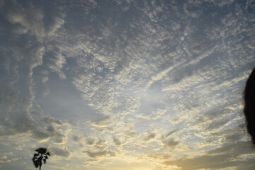 Enjoying the mother nature