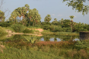 Enjoying the mother nature