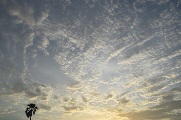 Enjoying the mother nature