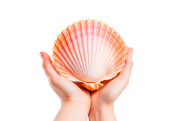 Hand Holding a sea ​​shell on Transparent or White Background, PNG