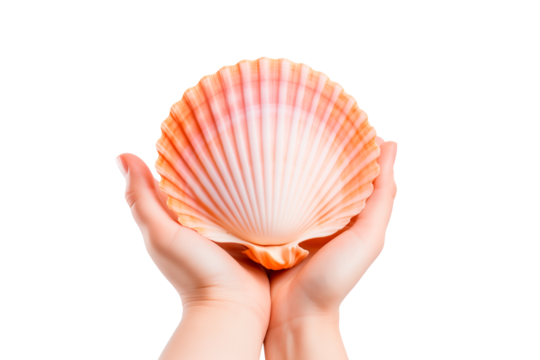 Hand Holding a sea ​​shell on Transparent or White Background, PNG