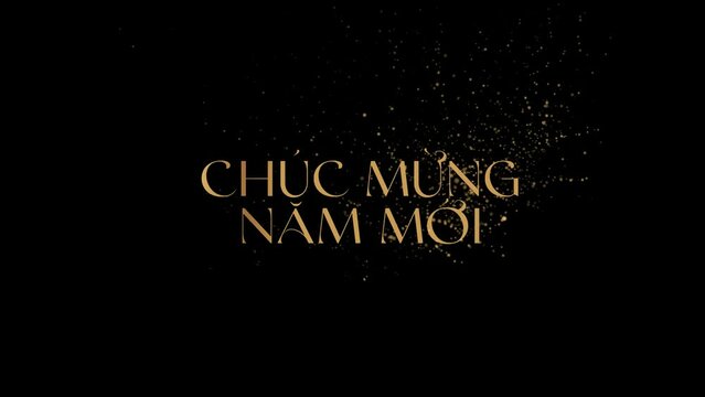 Happy Chinese New Year. Lunar new year text animation on transparent background. Particle text. Tet Vietnam