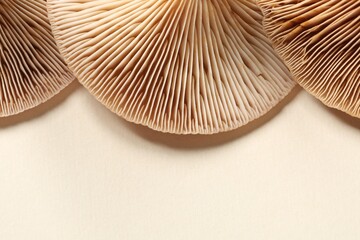 Raw forest mushrooms on beige background, top view. Space for text