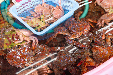 函館朝市・カニ販売