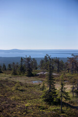 A summer view from the fells in northern Finland
