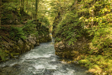 Obraz premium The Kamacnik River in Kamacnik Kanjon, Primorje-Gorski Kotar County, north west Croatia. August