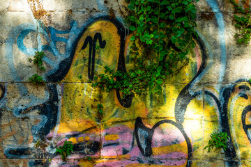 Plantes et graffitis sur les murs de la ville
