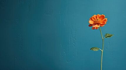 The striking beauty of a single orange flower set against a vibrant blue and green wall. This captivating image captures the essence of nature's artistic harmony in a tranquil garden setting. - Powered by Adobe