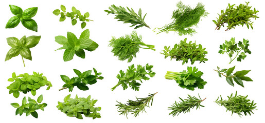 Isolated Herbs Collection Elements: Fresh Aromatic Varieties with Transparent Background - PNG Elements, Kitchen Essentials, Flavorful Garnishes, Healthy Cooking, Food Preparation, Organic Herb Garden - obrazy, fototapety, plakaty