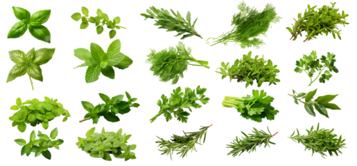 Isolated Herbs Collection Elements: Fresh Aromatic Varieties with Transparent Background - PNG Elements, Kitchen Essentials, Flavorful Garnishes, Healthy Cooking, Food Preparation, Organic Herb Garden